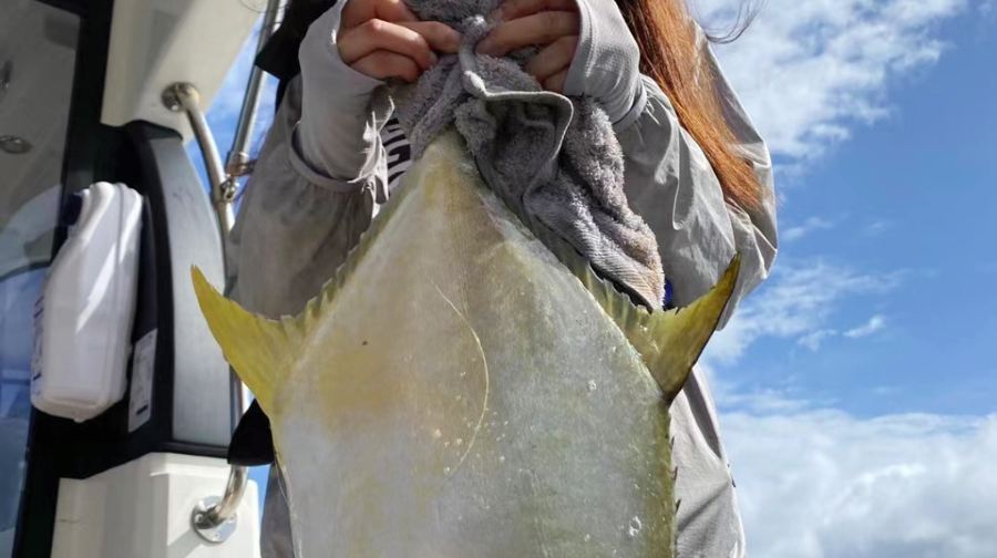 深圳包船夜釣魷魚吹筒仔 海釣專業釣魚艇包船出海