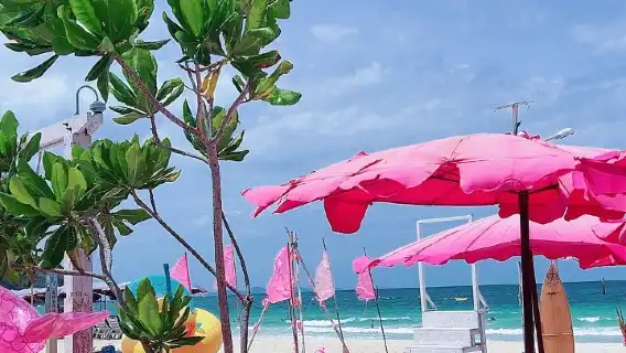 泰國格蘭島＋薩島體驗潛水浮潛 8 小時【格蘭島項目體驗|拖曳傘／海底漫步／香蕉船／水上摩托車|中英文導遊