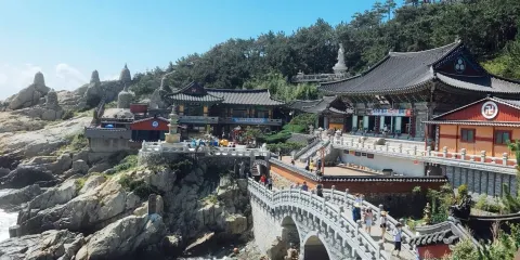 韓國濟州港郵輪碼頭接/送地陪&導遊&講解/可定制中文司機包車