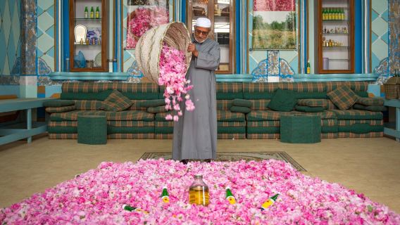 Full Day Taif Tour with Lunch from Jeddah