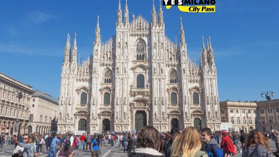 MilanTravel Services