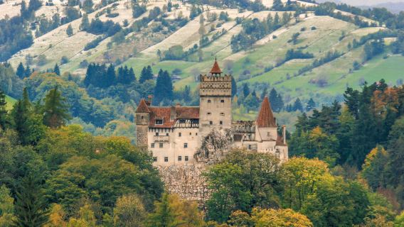 Bran Castle & Peleș Castle from Bucharest