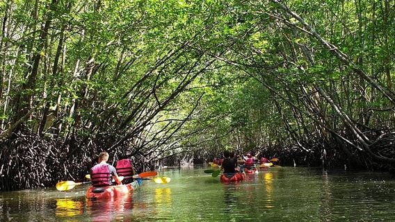 Koh LantaTours