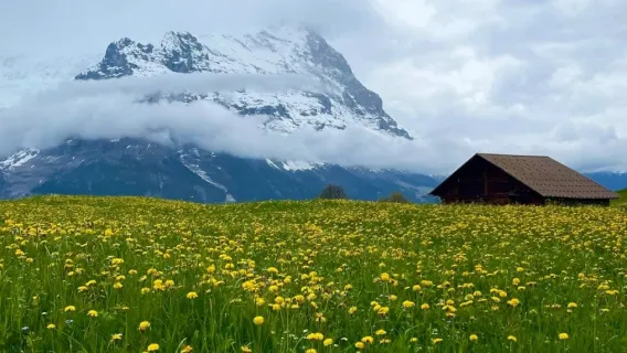瑞士格林德瓦+First山+夢幻山坡+網紅溜滑梯【私家包車】