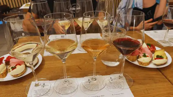 Small Carpathian Route Wines Tasting Tour in Bratislava City Center