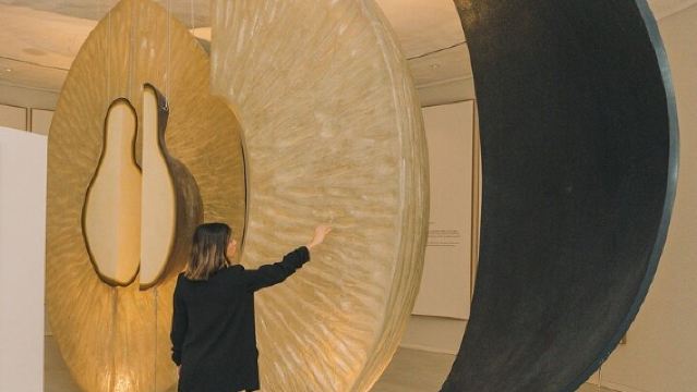 Porto: Wine Experience Musem with 3 Wine Tastings