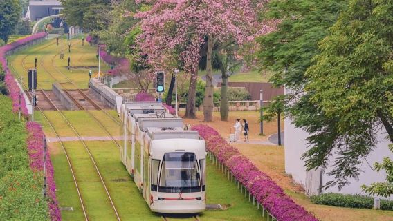 廣州一日私家團|有軌電車+白雲山+經典景點【可選珠江夜遊】
