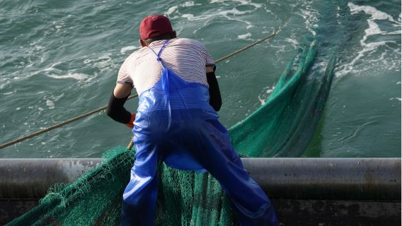 舟山出海捕魚啦!|嵊泗島出海捕魚|可選包船或拼船|行程自由