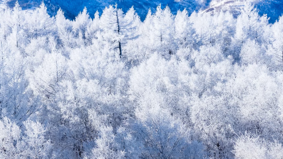 內蒙古全境︱導遊/地陪/翻譯︱中文/英語/多語種︱商務出行/景區導覽/旅行陪同/考察/團建/旅遊服務