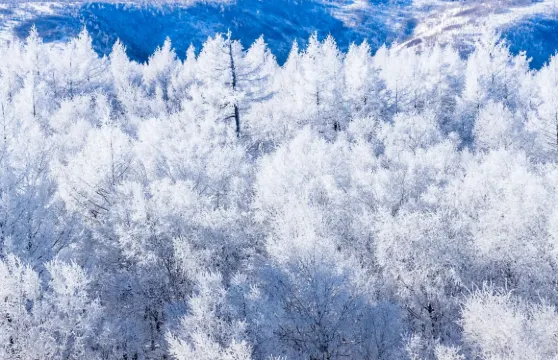內蒙古全境︱導遊/地陪/翻譯︱中文/英語/多語種︱商務出行/景區講解/旅行陪同/考察/團建/旅行服務