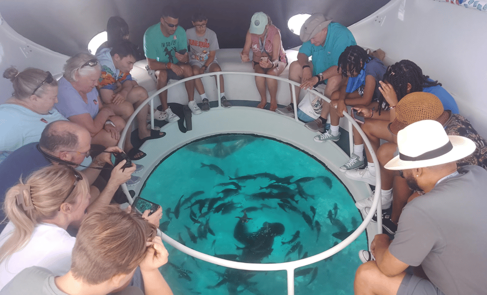 George Town: tour in barca con fondo di vetro tra i relitti storici