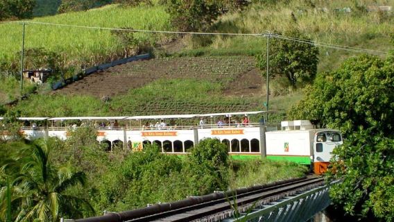 Basseterre : excursion d'une journée en train panoramique de Saint-Kitts avec boissons
