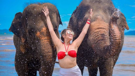 Phuket: Halbtägiger Ausflug zum Lily Elephant Beach mit Mittagessen