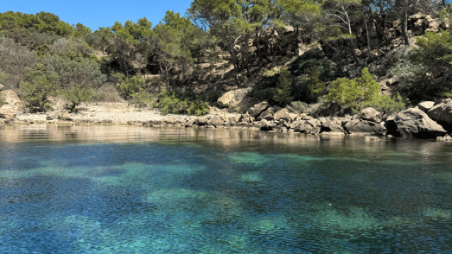 Majorca: Visit the Natural Park of Dragonera Island by boat