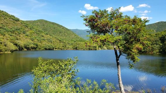 From Oaxaca: MTB Guided Bike Tour, Tule Tree & Lake Half-Day