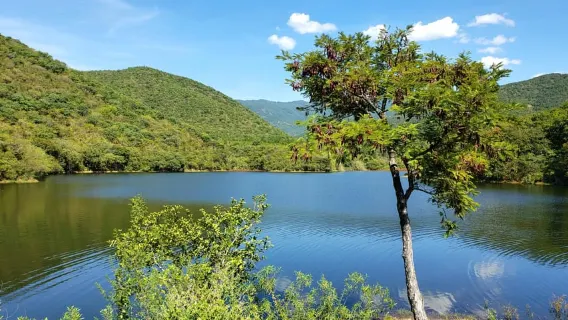 Da Oaxaca: tour guidato in MTB, Tule Tree e lago di mezza giornata