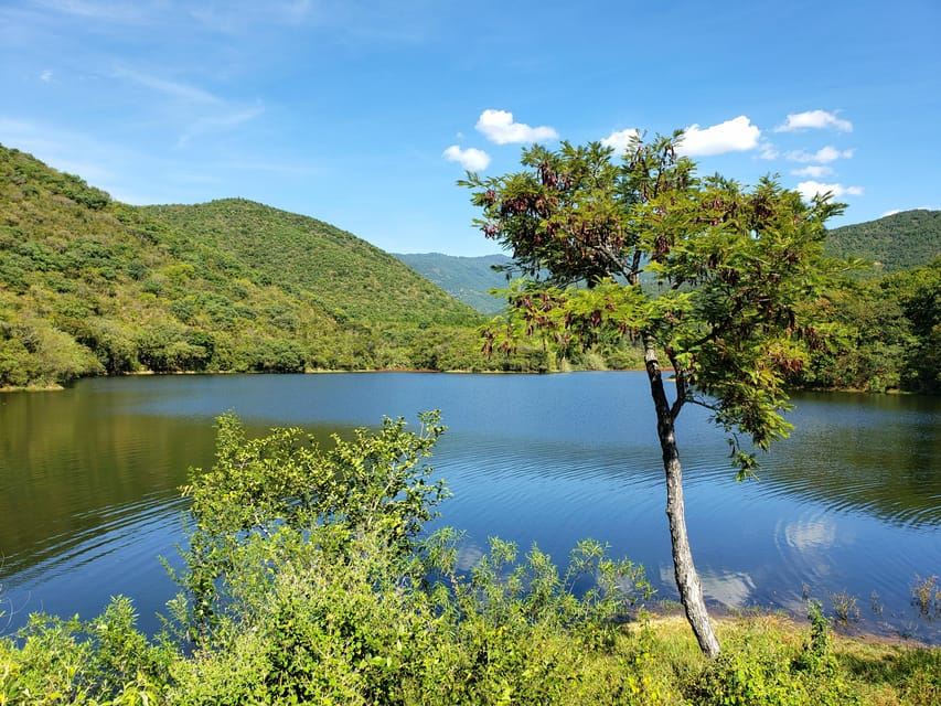 From Oaxaca: MTB Guided Bike Tour, Tule Tree & Lake Half-Day