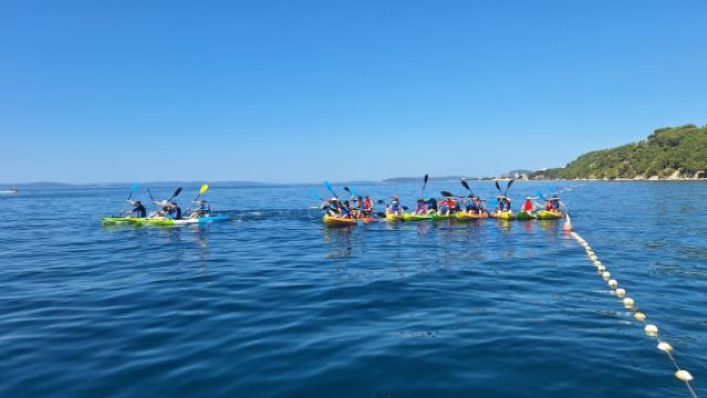 Split: Guided Kayak Adventure Tour