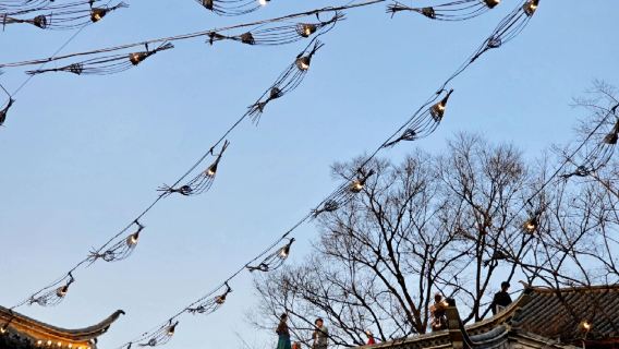 однодневный тур в Куньмин: Старый город Guandu + Музей провинции Юньнань + Зоопарк горы Юаньтун с услугами на китайском и английском языках