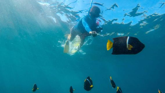 Vallarta: cascata di Yelapa e avventura con snorkeling a Majahuitas