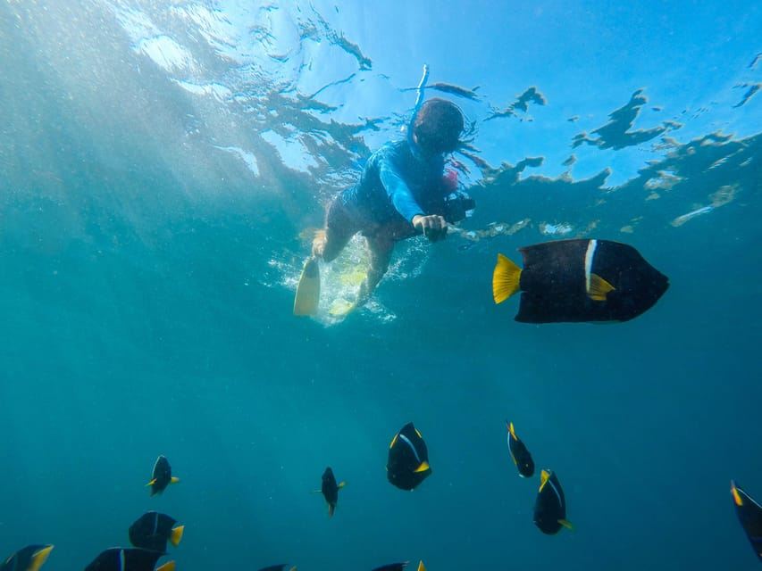 Vallarta: Yelapa Waterfall & Majahuitas Snorkel Adventure