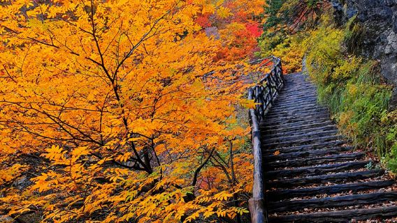 小五台輝川純玩1日【京津冀戶外天堂+走近那座山+九瀑十八潭】