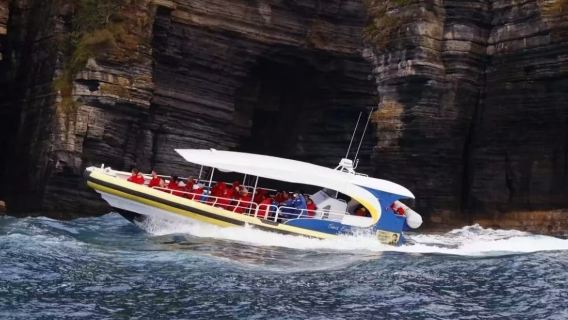 タスマニア・タスマン地方クルーズ3時間/ラウル岬クルーズ1.5時間【ホバート発ワンデーツアー選択可|回選択可】