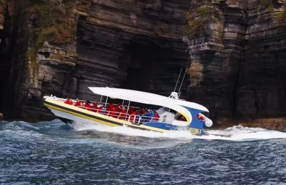 塔斯馬尼亞塔斯曼巡遊3h/拉烏爾角巡遊1.5h【可選霍巴特出發一日遊丨場次可選】