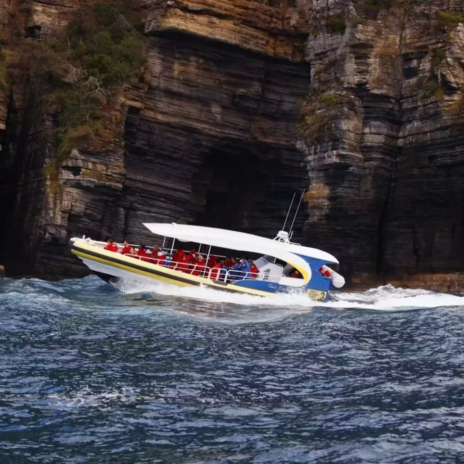 Tasmanien Tasman Kreuzfahrt 3h/Cape Raoul Kreuzfahrt 1.5h [Optional Tagesausflug ab Hobart | Zeitslots wählbar]