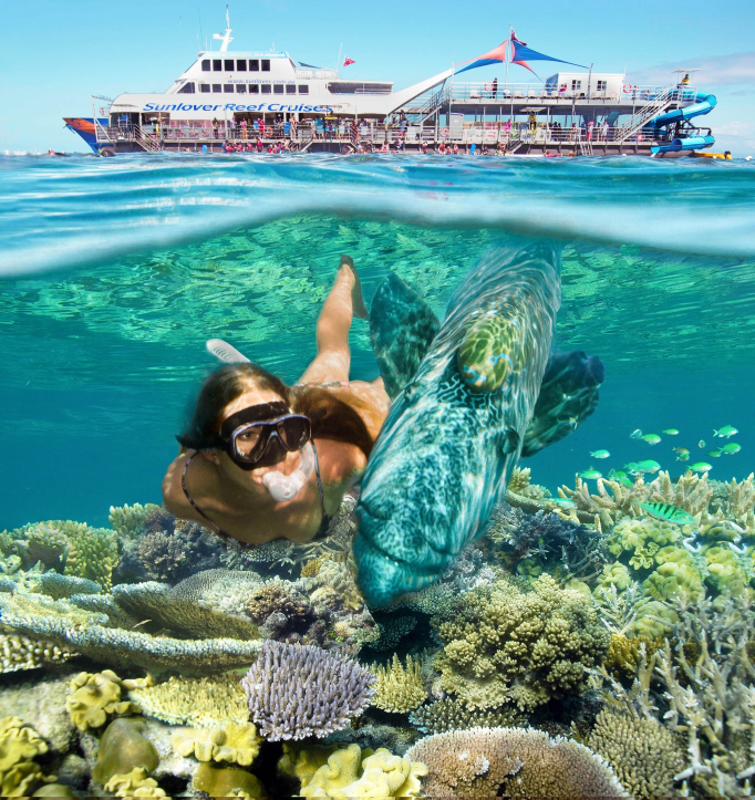 ケアンズ サンラバー号 グレートバリアリーフ ワンデーツアー【オプションでツインリーフ/花少同款/グラスボート/ブッフェランチ/ヘリコプター観光】