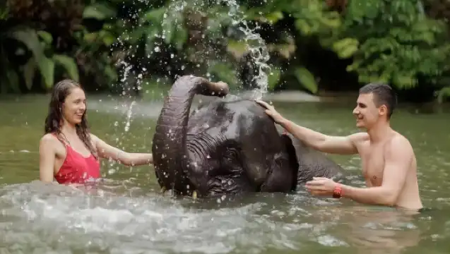 攀牙灣漂流一日遊【白水漂流|ATV登山車|騎大象|叢林飛躍】