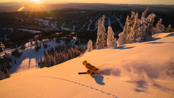 IKON PASS — единый абонемент для катания на множестве горнолыжных курортов по всему миру | неограниченный доступ к популярным курортам США и Канады