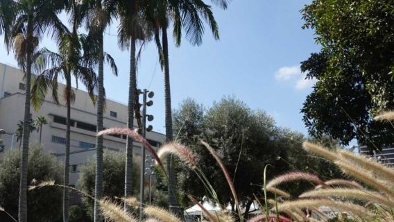 美國一號公路+洛杉磯-舊金山全路段/可多天定制-諮詢立享優惠