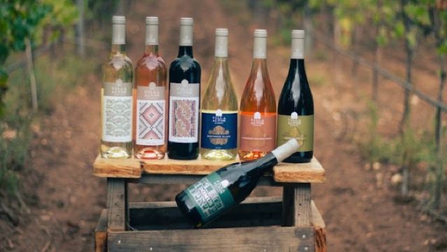 Alvor All Wine Tasting - 7 wines