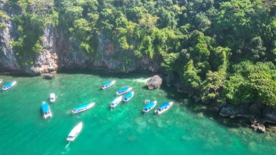 Pacchetto Tour Mangrovie Langkawi