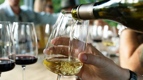 Excursión de un día a Hunter Valley con degustación de vinos, almuerzo y visita a Drayton's Family Wines [Fábrica de chocolate + traslado desde Sídney]