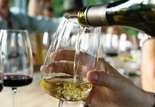Hunter Valley Wine Tasting + Lunch + Drayton's Family Wines Day Tour [Chocolate Factory, Sydney Pickup] AUD 177.78