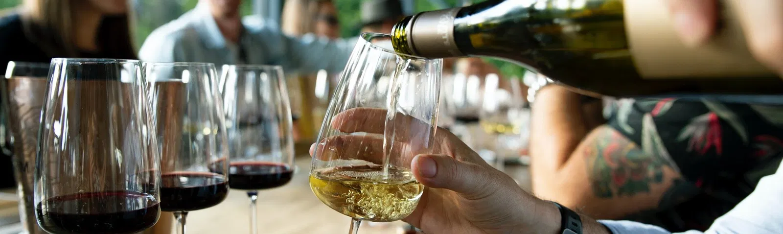 Hunter Valley Wine Tasting + Lunch + Drayton's Family Wines Day Tour [Chocolate Factory, Sydney Pickup]