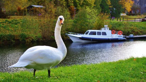 愛丁堡出發蘇格蘭高地一日遊/格倫科峽谷+內斯湖水怪之旅