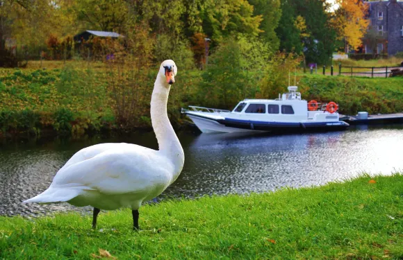 愛丁堡出發12h包車蘇格蘭高地一日遊/格倫科峽谷+內斯湖水怪