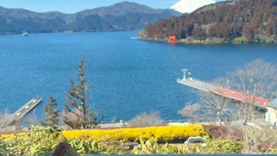 日本東京/箱根/橫濱/鐮倉/山/任選關東一日包車-諮詢立減