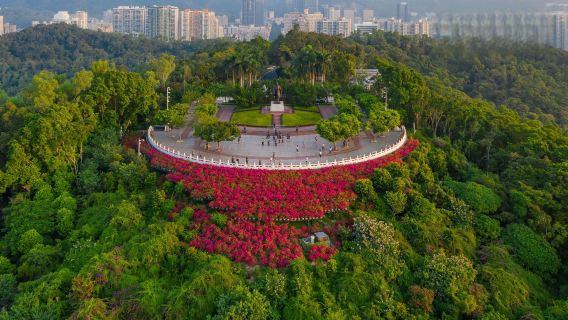 Jejaki kedudukan C di kaki langit Shenzhen, berjalan-jalan di awan dan tepi pantai.