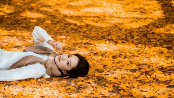 騰衝火山公園+北海濕地+熱海公園一日遊 2-6人品質小團