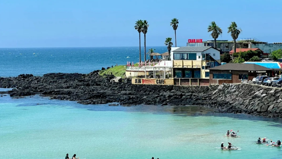 Jeju Island Hello Kitty Island + Alpaca Ranch + Aewol Coffee Street + Hyeopjae Beach Day Tour