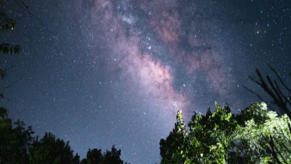 中文團-黃金海岸半日遊品質小團►黃金海岸螢火蟲夜遊觀星之旅