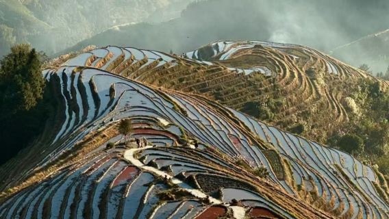 二つの驚異の物語：プライベート蘆笛洞と龍脊梯田の没入体験