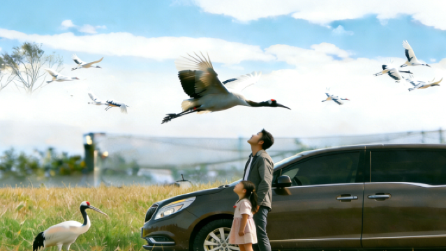 中華麋鹿園+荷蘭花海+丹頂鶴濕地生態旅遊區包車遊【鹽城出發】