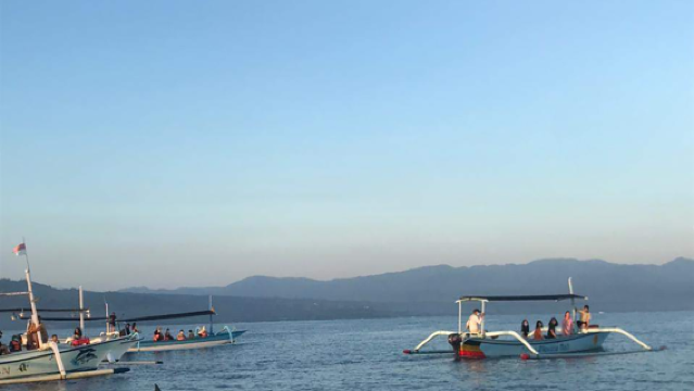 Bali Lovina Dolphin Watching Experience + Optional Snorkeling Tour + Shared Boat