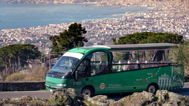 Pompeya y el Monte Vesubio: Excursión de un día desde Roma