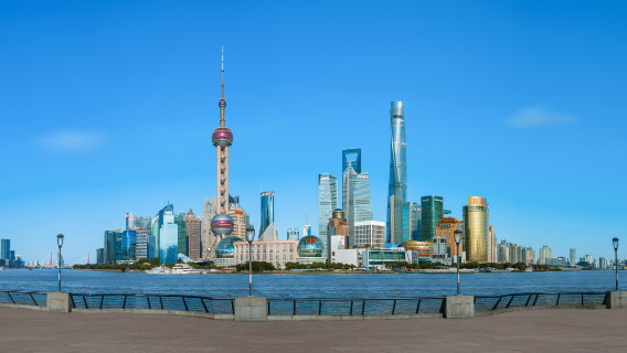 上海純玩一日遊【經典路線|品質保障】外灘城隍廟豫園南京路步行街